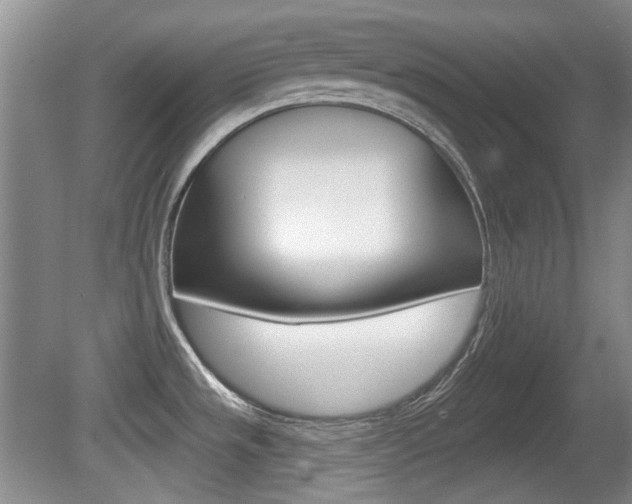 X0000081561533200701150946