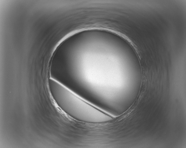 X0000081561534200701150946