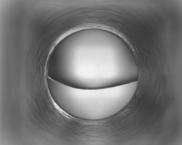 X0000081561535200701150946