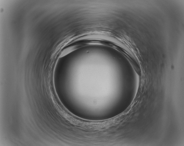 X0000081560001200701151158