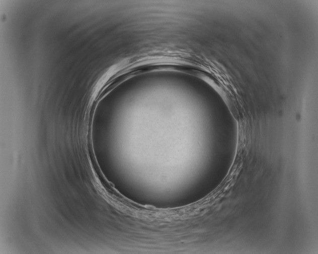 X0000081560003200701151158