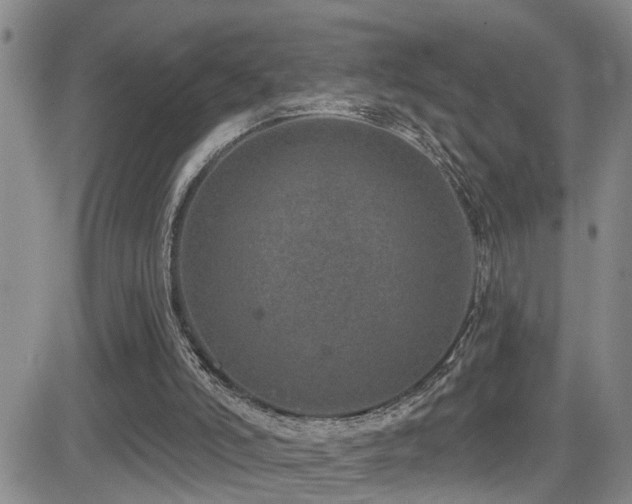 X0000081560006200701151158