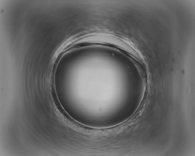 X0000081560007200701151158