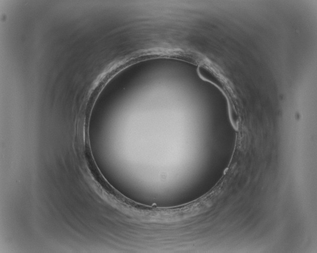 X0000081560011200701151158