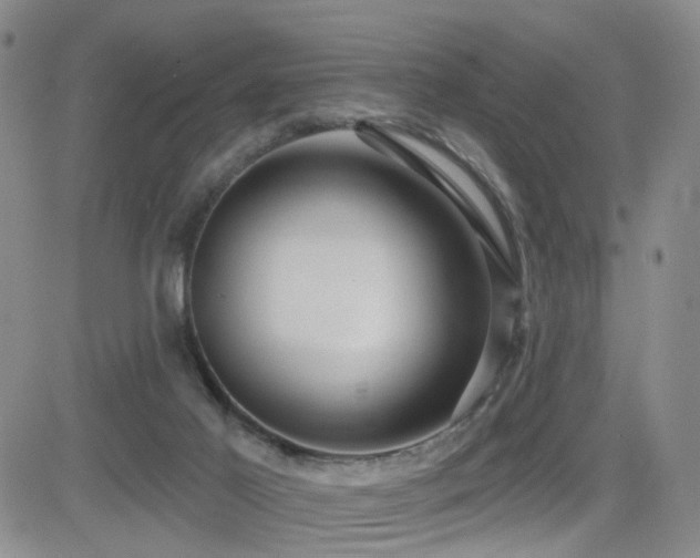 X0000081560021200701151158