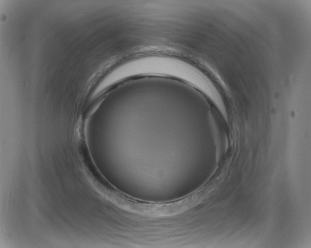 X0000081560023200701151158