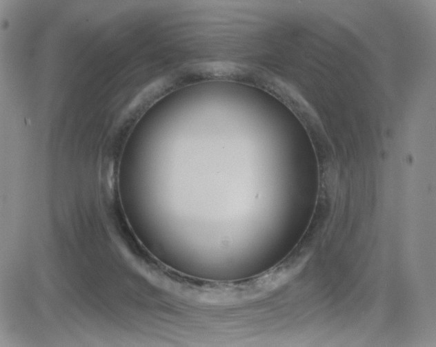 X0000081560024200701151158