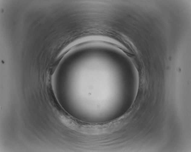 X0000081560025200701151158