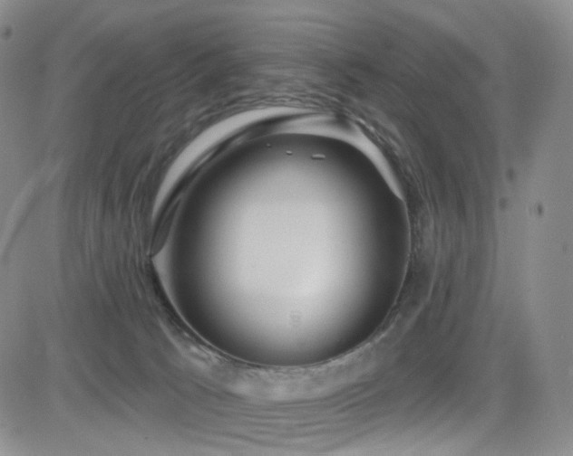 X0000081560033200701151158