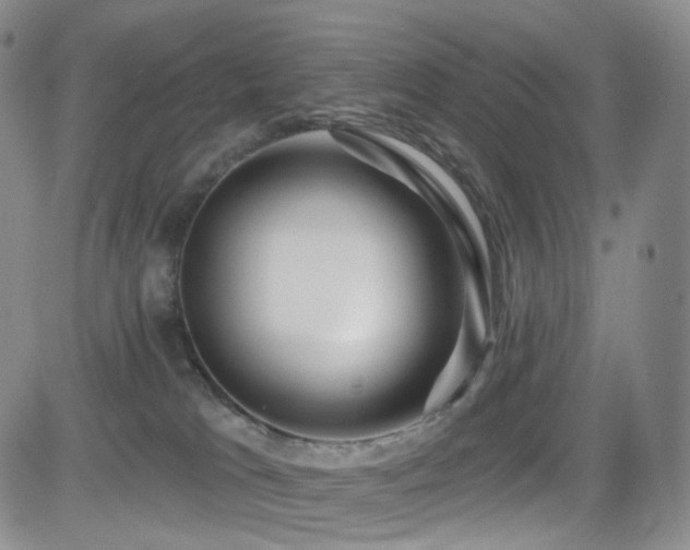 X0000081560037200701151158