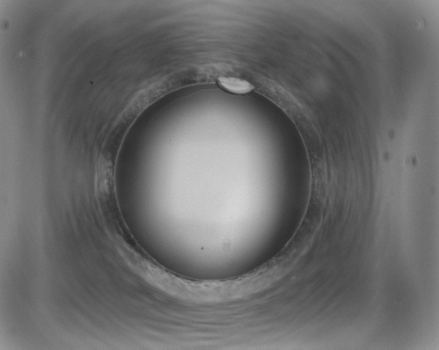 X0000081560038200701151158