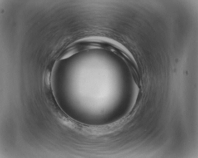 X0000081560041200701151158
