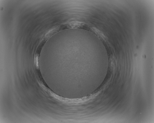 X0000081560042200701151158