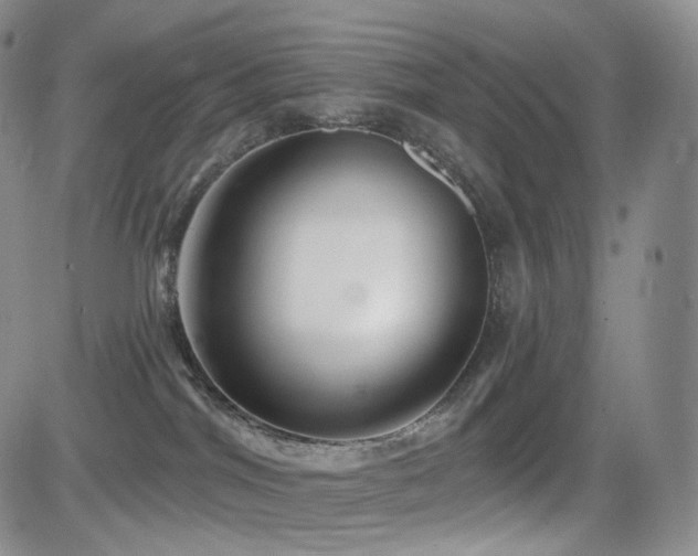 X0000081560044200701151158