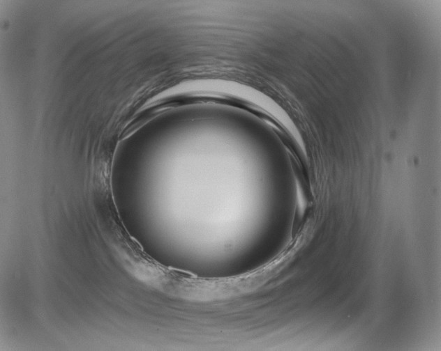 X0000081560045200701151158