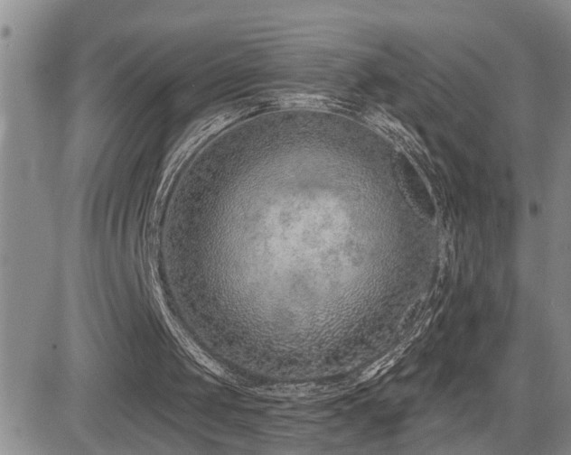 X0000081560049200701151157
