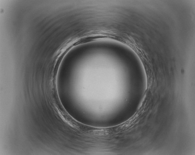 X0000081560050200701151157