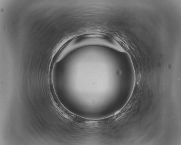 X0000081560052200701151157