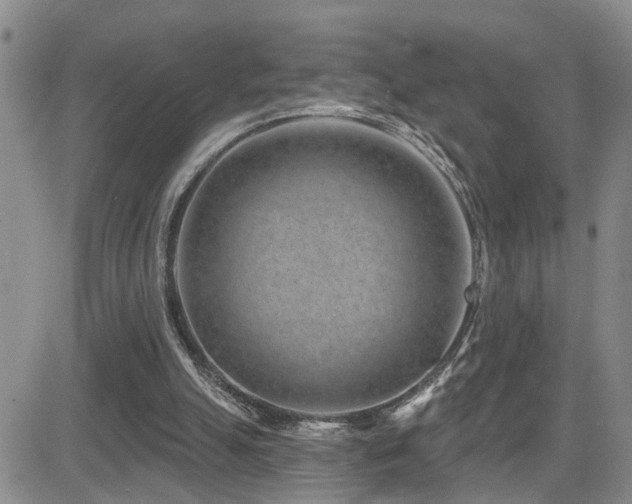 X0000081560055200701151157
