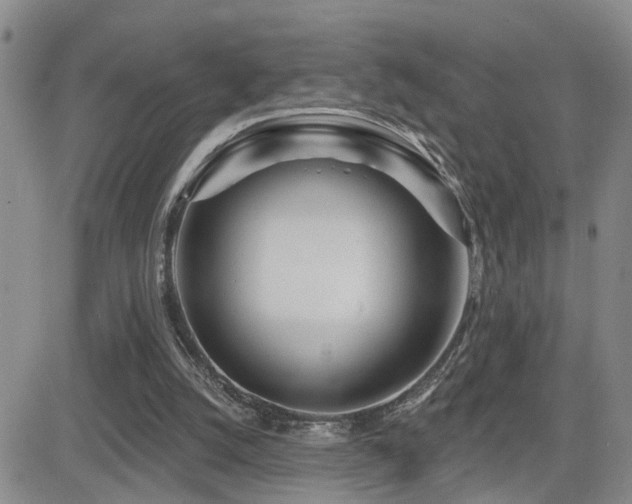 X0000081560056200701151157