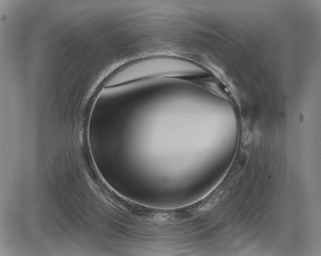 X0000081560060200701151157