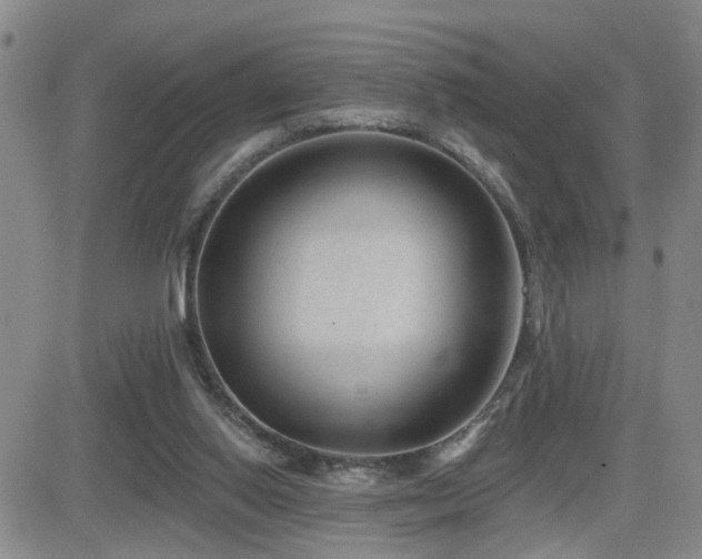 X0000081560062200701151157