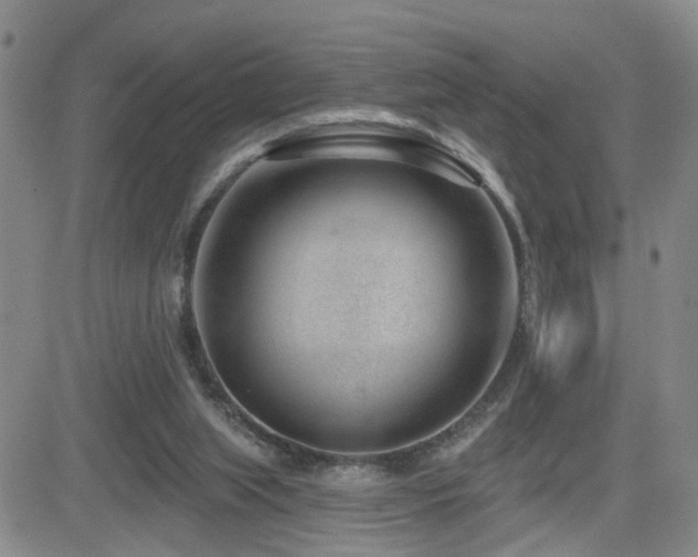 X0000081560063200701151157