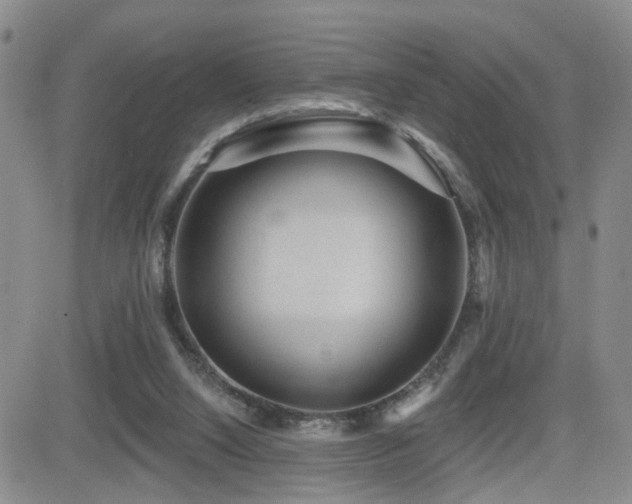 X0000081560064200701151157