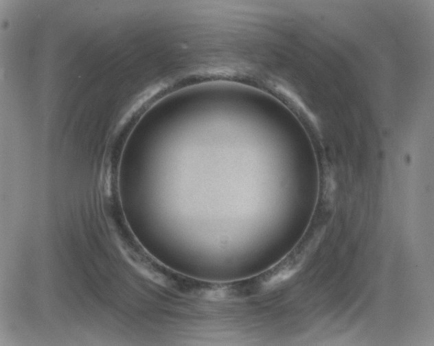X0000081560068200701151157