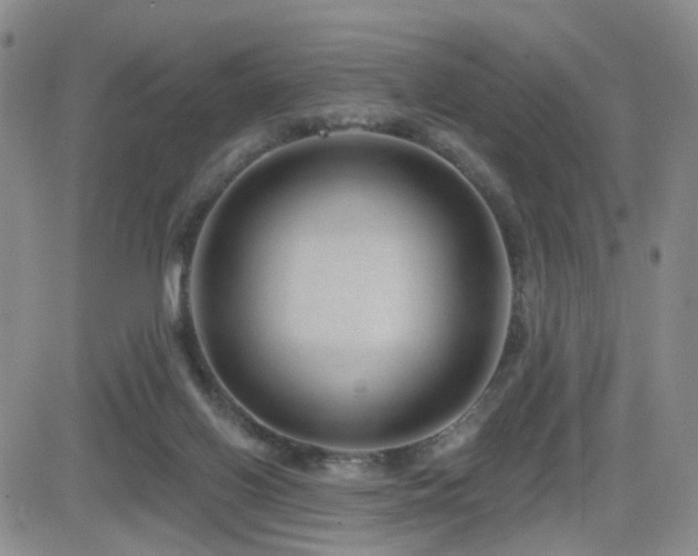 X0000081560070200701151157