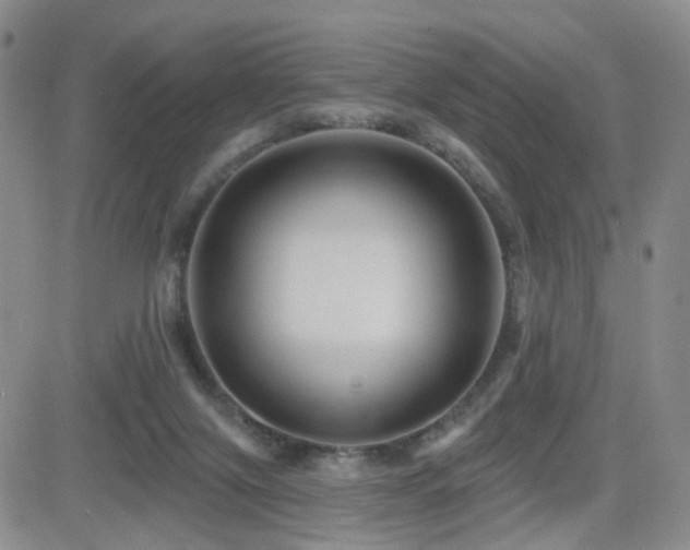 X0000081560071200701151157