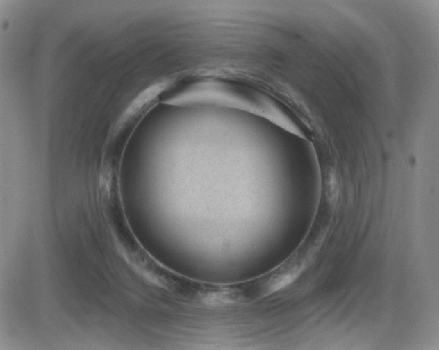 X0000081560072200701151157