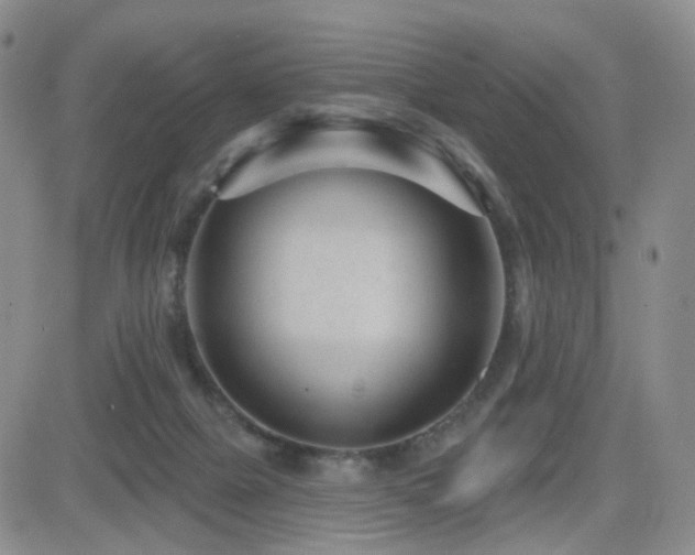 X0000081560073200701151157