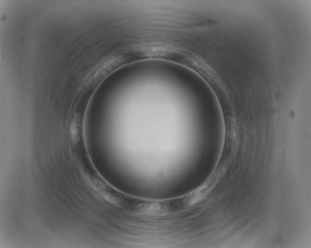 X0000081560074200701151157