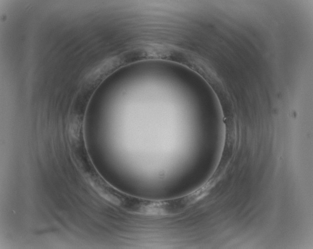 X0000081560078200701151157