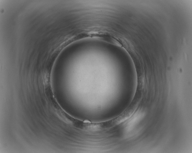 X0000081560081200701151157