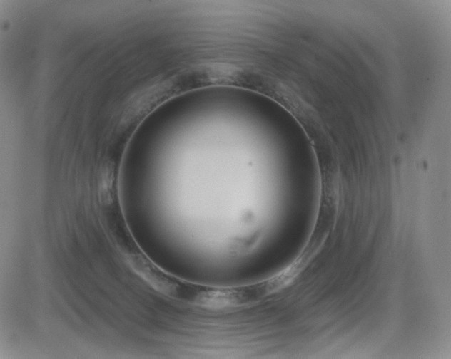 X0000081560082200701151157