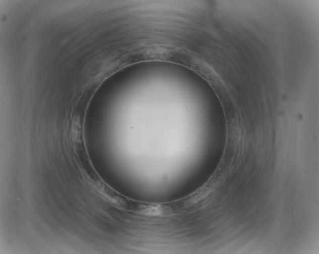 X0000081560083200701151157