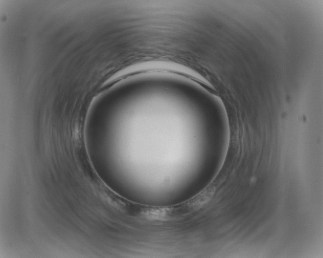 X0000081560084200701151157