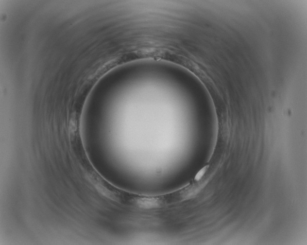 X0000081560085200701151157
