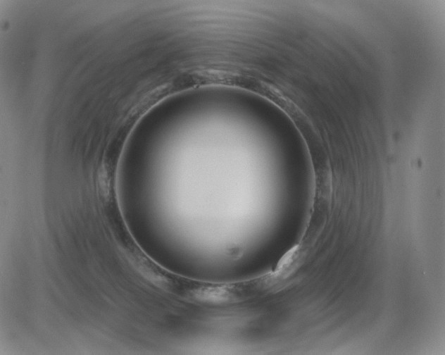 X0000081560086200701151157