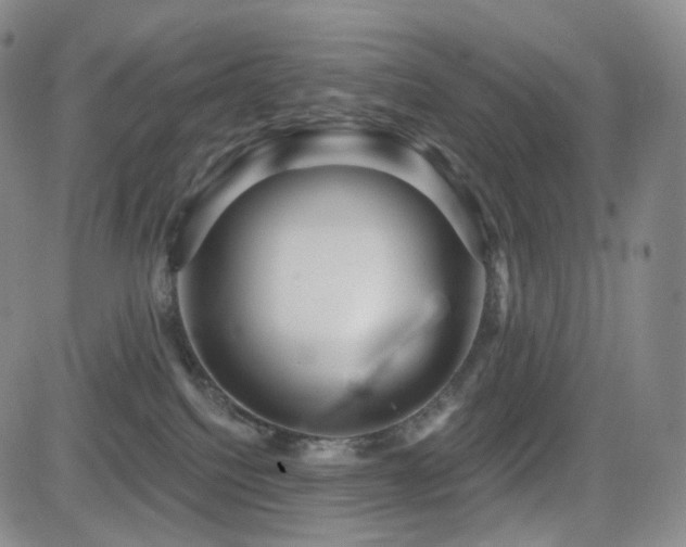 X0000081560088200701151157