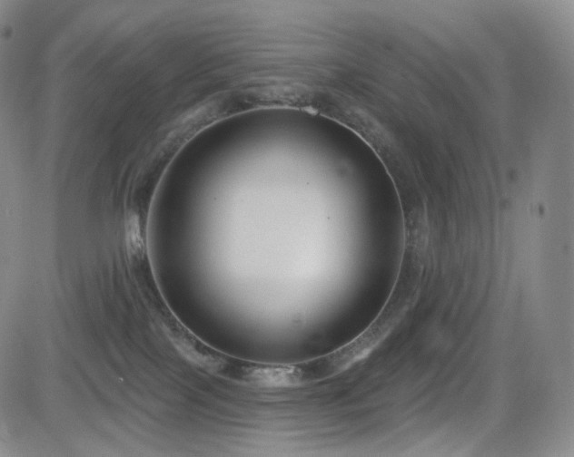 X0000081560089200701151157
