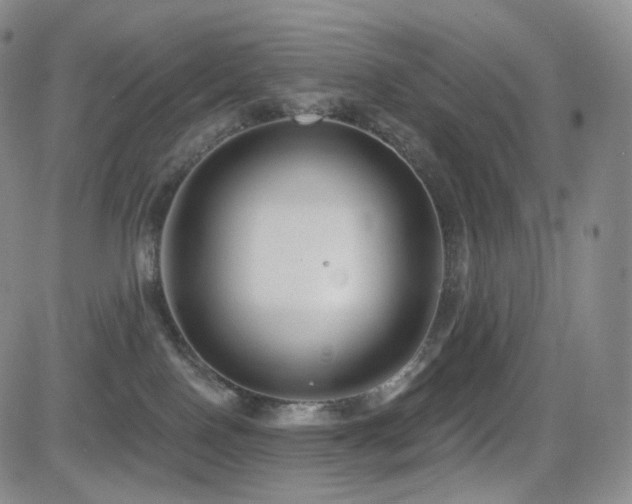 X0000081560090200701151157
