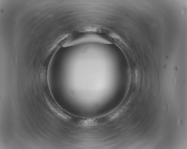 X0000081560092200701151157