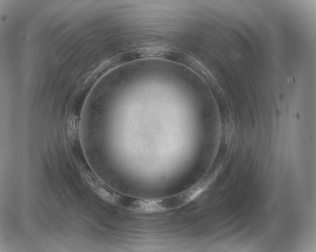 X0000081560093200701151157
