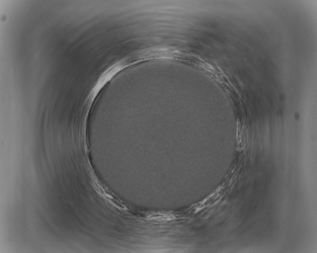X0000081560099200701151157