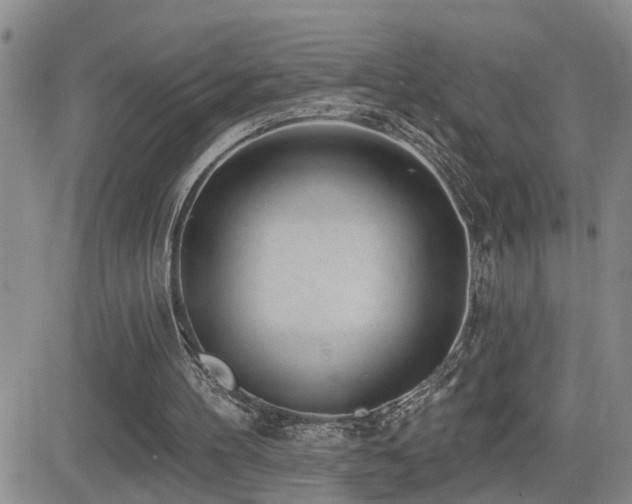 X0000081560100200701151157