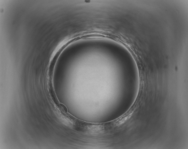 X0000081560102200701151157