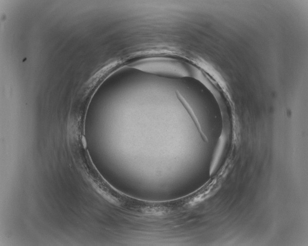 X0000081560105200701151157
